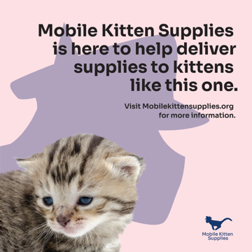 This instagram post mockup has one kitten looking off to the side
				on the bottom left.
				
				At the top right is the header: Mobile Kitten Supplies is here to help
				deliver supplies to kittens like this one. 
				
				Towards the middle right part of the composition is the phrase: Visit 
				Mobilekittensupplies.org for more information.
				
				On the bottom right part of the image is an all dark blue version of 
				Mobile Kitten Supplies's logo.
				
				Meanwhile, the background color is light pink, with a dark blue, partially faded
				headshot of the company's cat icon.